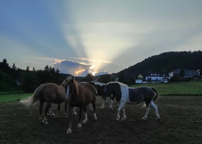 Ferienwohnung Am Tor Zum Thueringer Wald