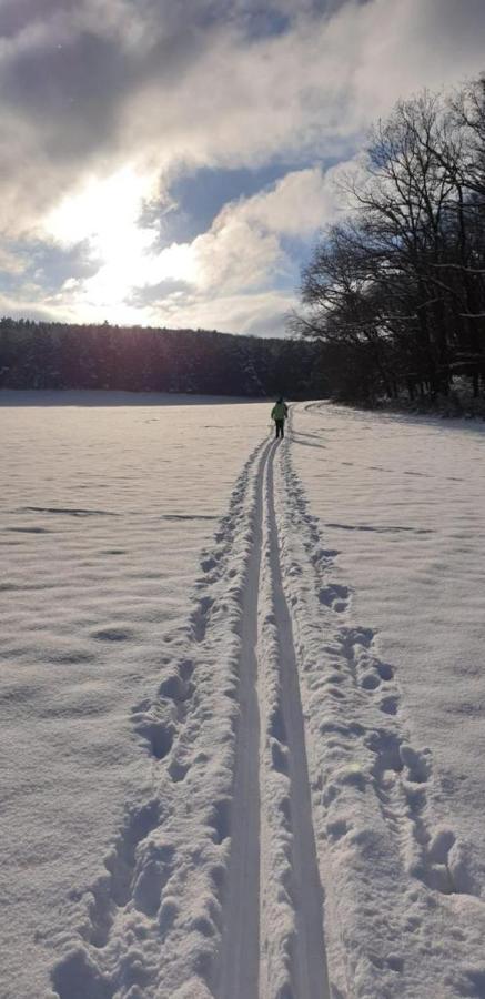 Am Tor Zum Thueringer Wald Апартаменты *