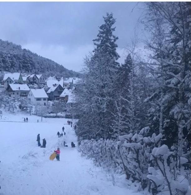 Am Tor Zum Thueringer Wald