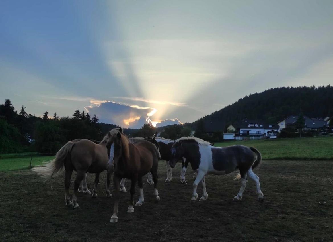 Am Tor Zum Thueringer Wald * Plaue (Thuringia)